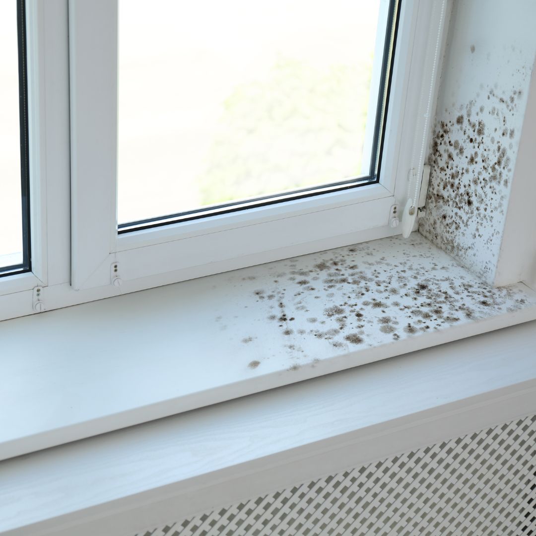 Mould on a window sill